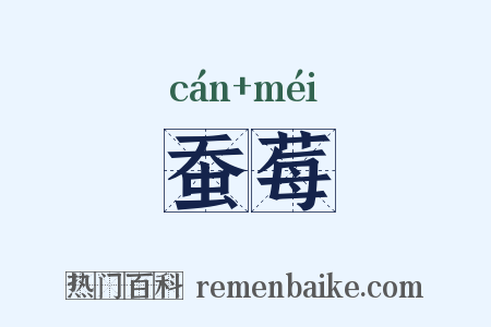蚕莓是什么意思的图片